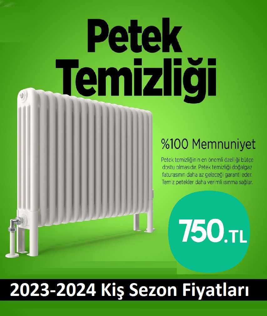 Kağithane Petek Temizliği Tek Fiyat Teklifi Al